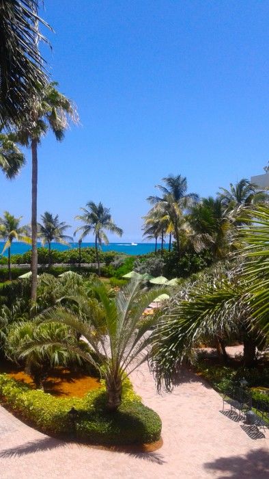 Hi Miami - 3*